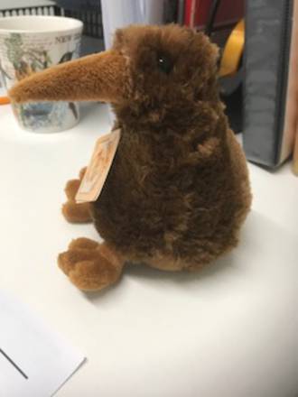 Kiwi by Kiwi & Friends